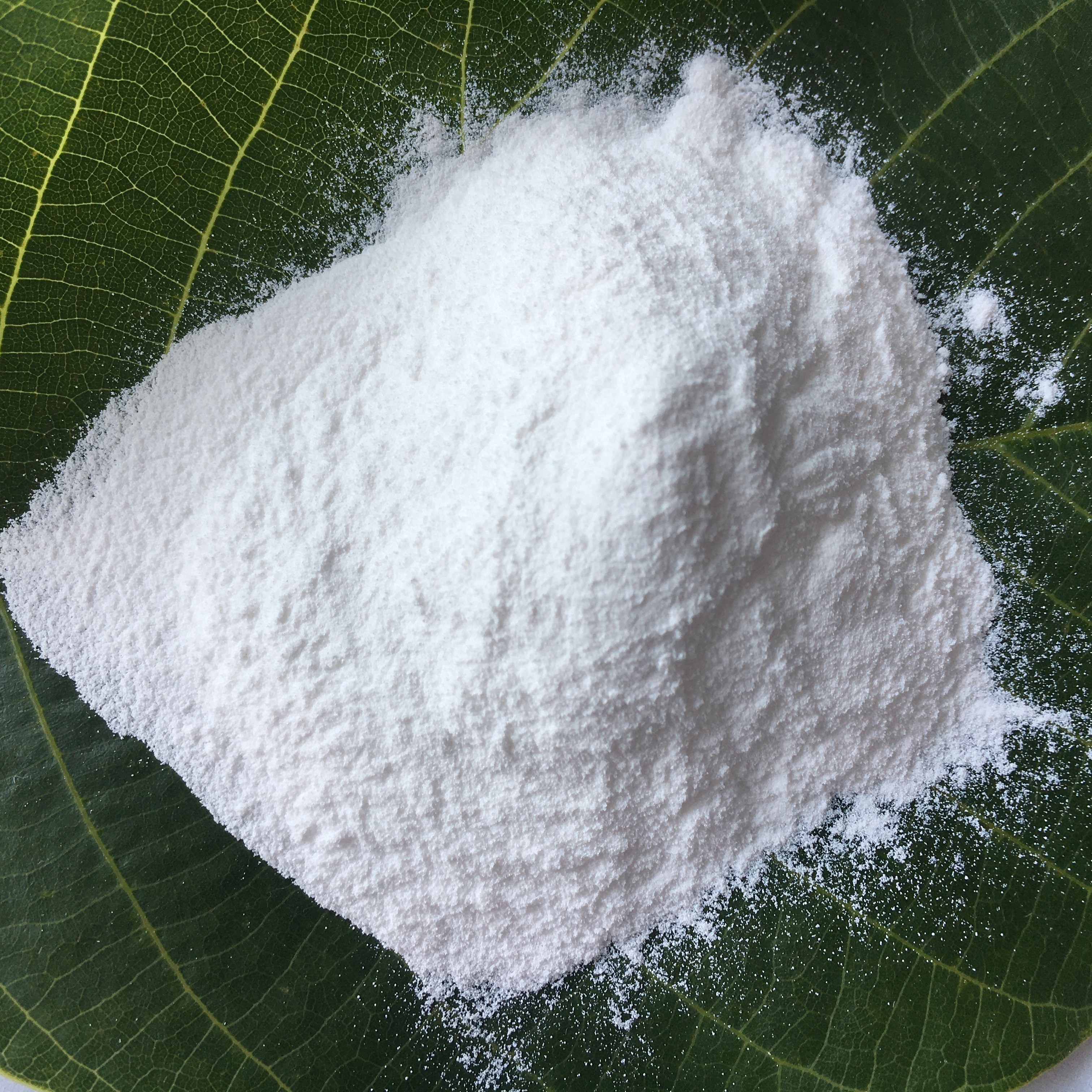 <a href='http://m.zhwwzy.cn' class='keys' title='點擊查看關于氧化鎂的相關信息' target='_blank'>氧化鎂</a>