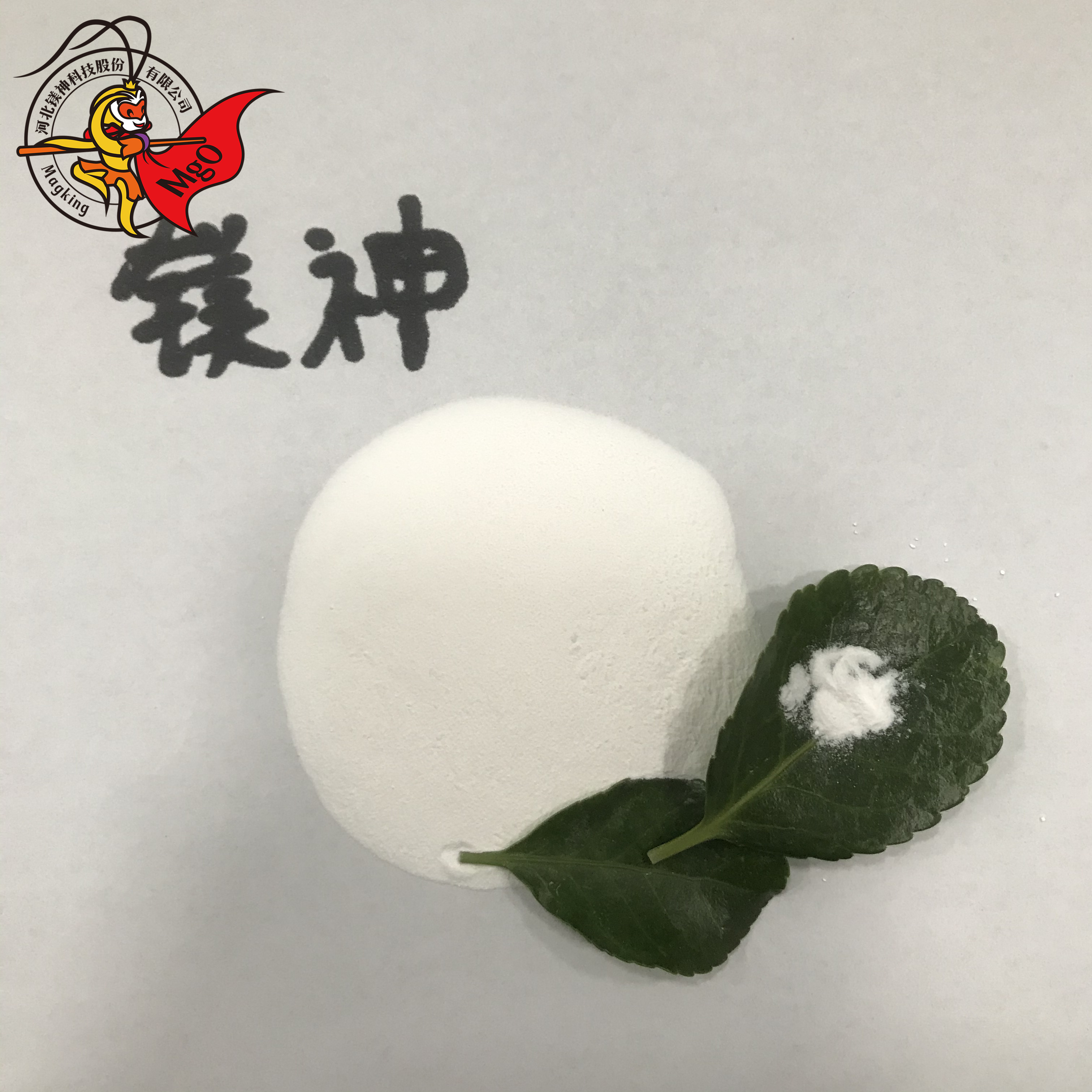 <a href='http://m.zhwwzy.cn' class='keys' title='點擊查看關于氧化鎂的相關信息' target='_blank'>氧化鎂</a>