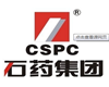 石藥集團(tuán)